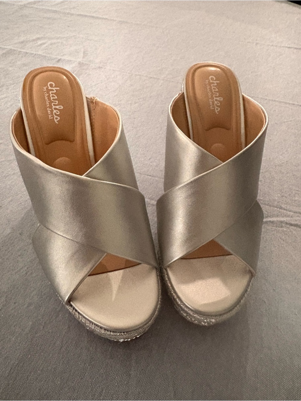 Charles by Charles David Metallic Silver Crisscross Slide Wedges